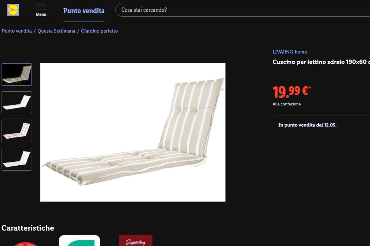 Lidl cuscino lettino sdraio offerta