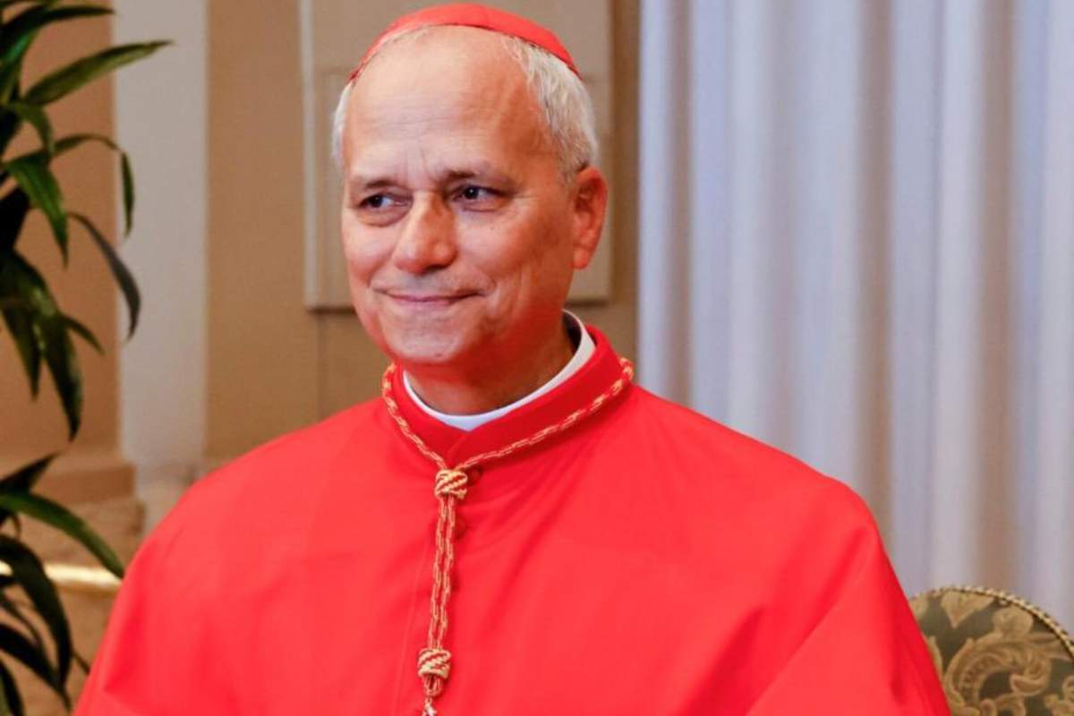 Papa guadagni