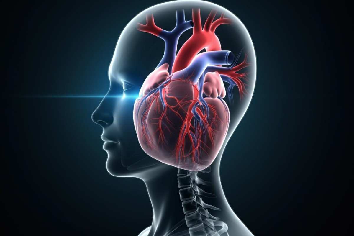 Ictus e salute cardiaca