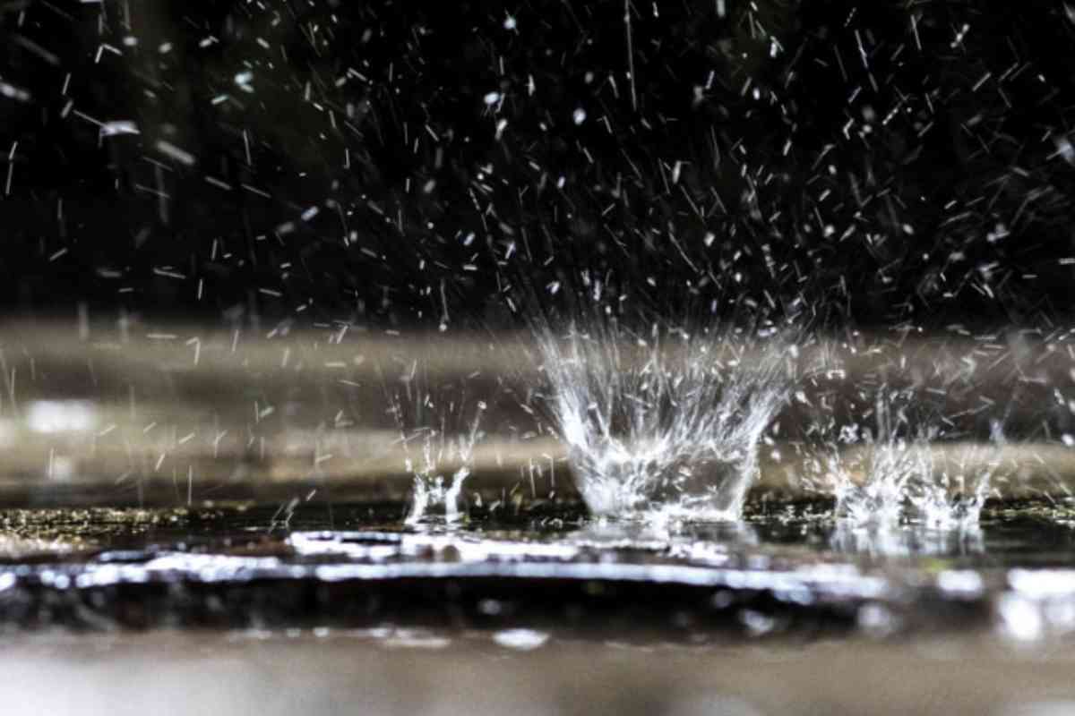 Oltre alla contaminazione della pioggia, i neonicotinoidi rappresentano una minaccia significativa per la biodiversità e gli ecosistemi.