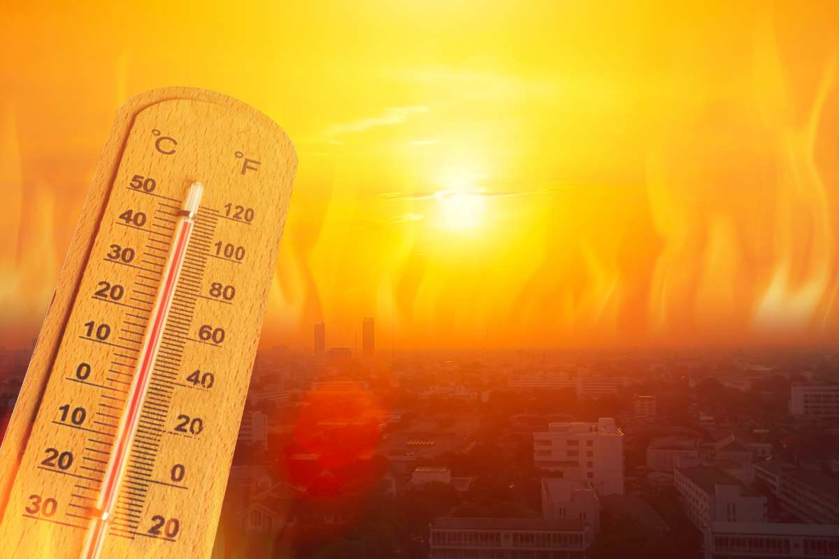 Caldo torrido