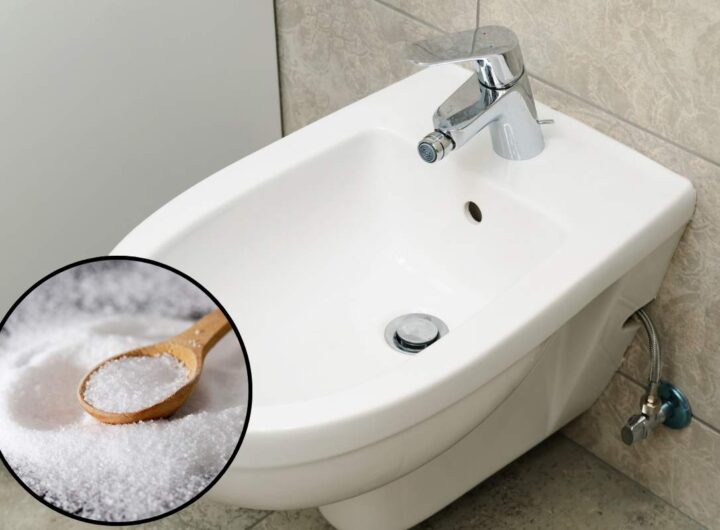 bidet perché mettere sale