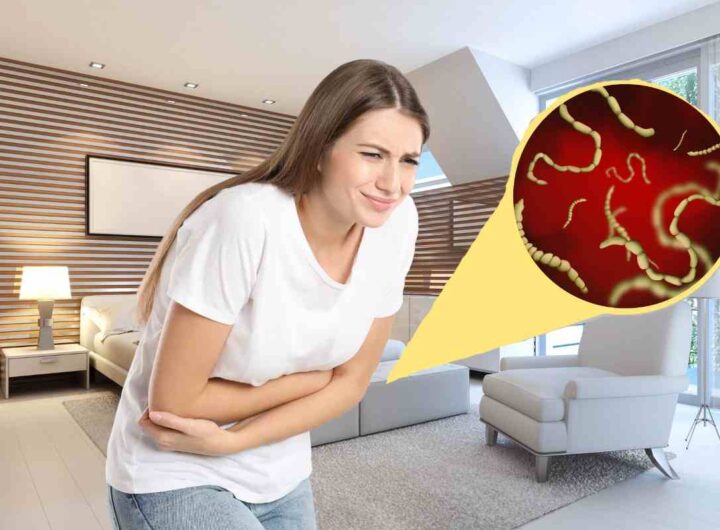 Salmonella MInistero ritira prodotti