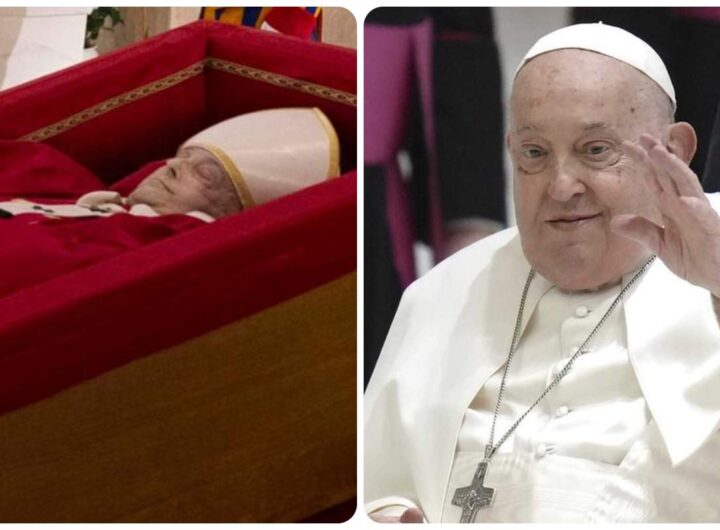 papa francesco dettaglio bara maggiefarm