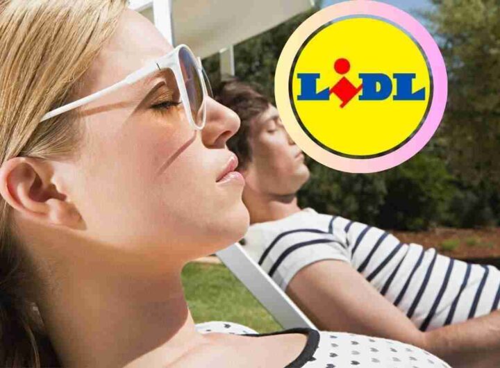 Lidl cuscino lettino sdraio offerta