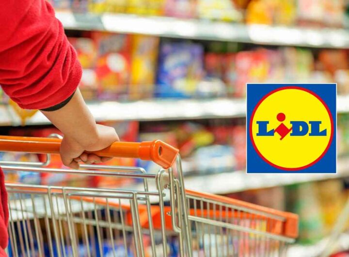 offerta Lidl grande prezzo