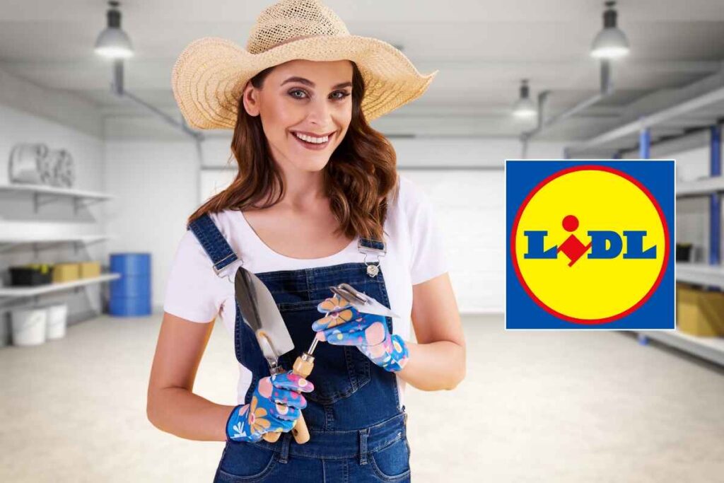 Offerta Lidl per fai da te