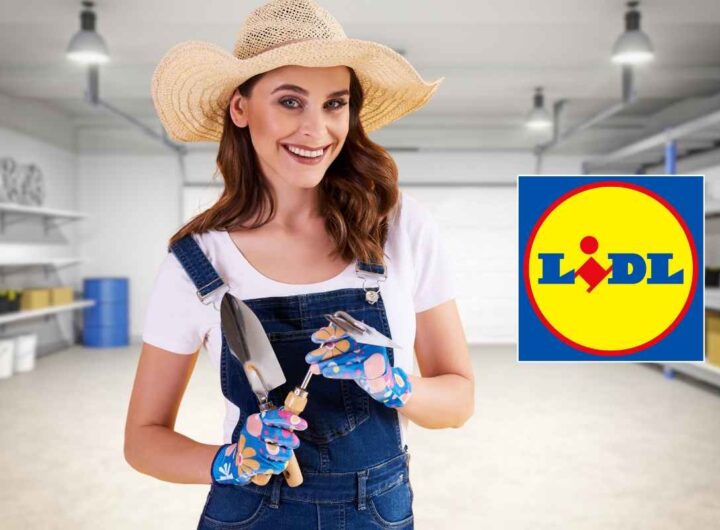 Offerta Lidl per fai da te