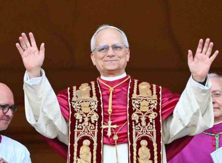 Papa guadagni