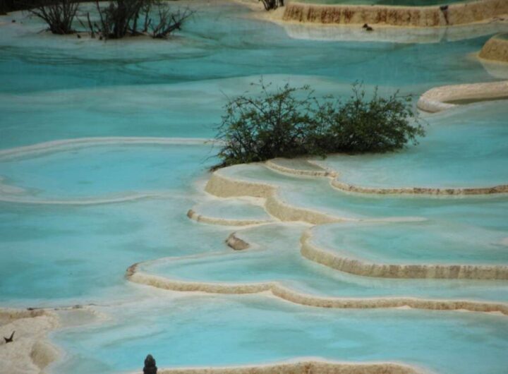Piscine Naturali