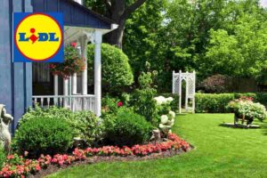box da giardino: ecco il prodotto da non perdere