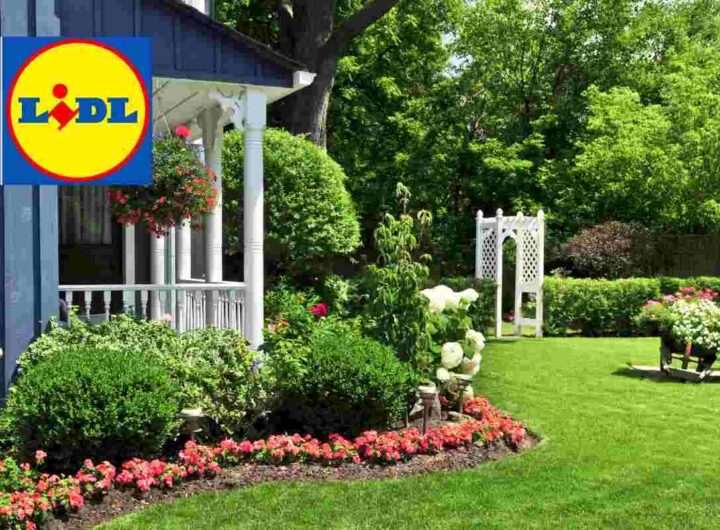 box da giardino: ecco il prodotto da non perdere