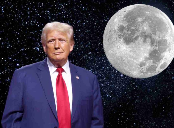 trump soldi