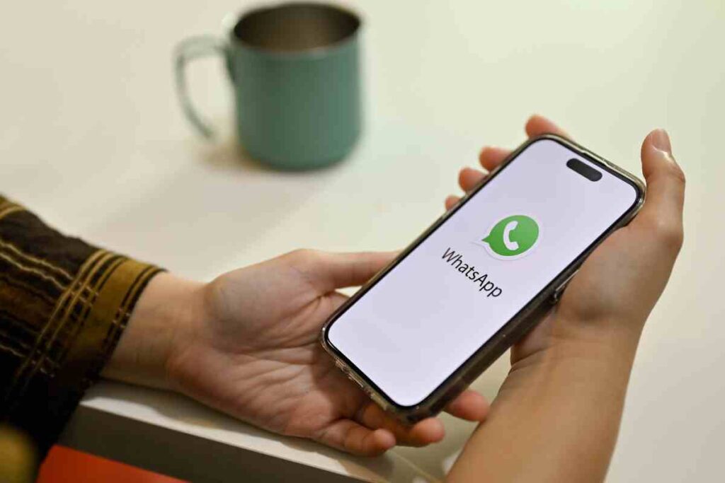 Risparmia tempo e resta aggiornato: arriva l'incredibile novità Whatsapp , tutti i dettagli