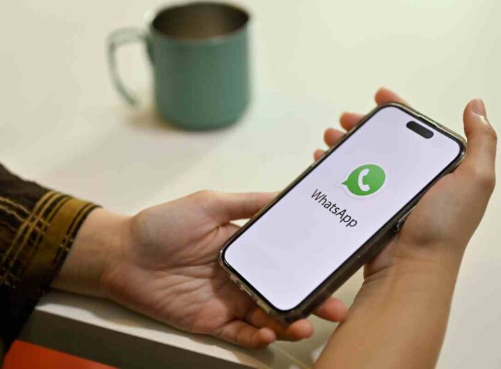 Risparmia tempo e resta aggiornato: arriva l'incredibile novità Whatsapp , tutti i dettagli