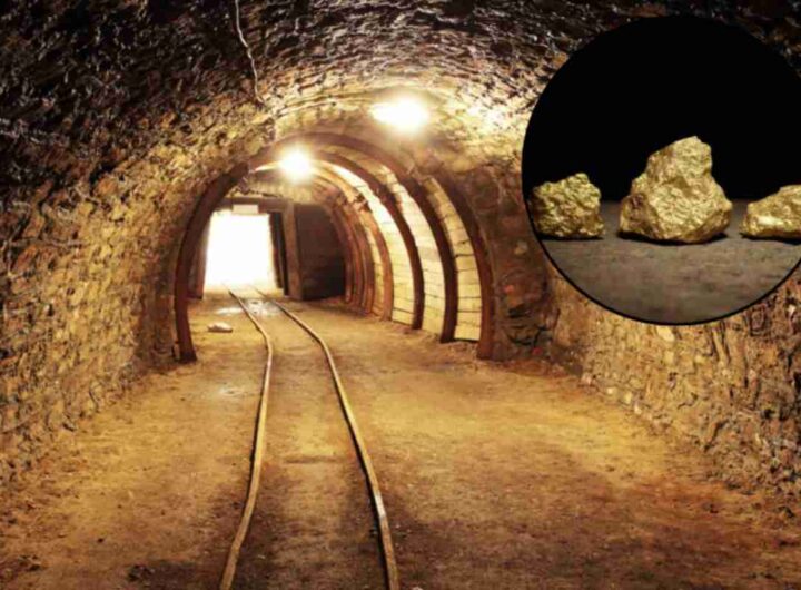 La scoperta è avvenuta in Cina, nel cuore della provincia di Hunan, nella contea di Pingjiang, una zona già nota in passato per altre risorse naturali,