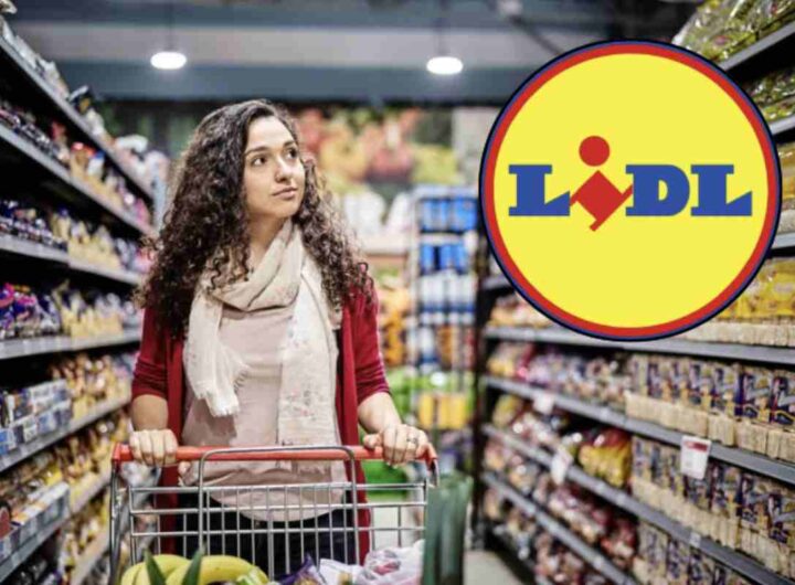 Nell’immaginario collettivo, i discount sono spesso associati a prodotti di scarsa qualità. Questa percezione