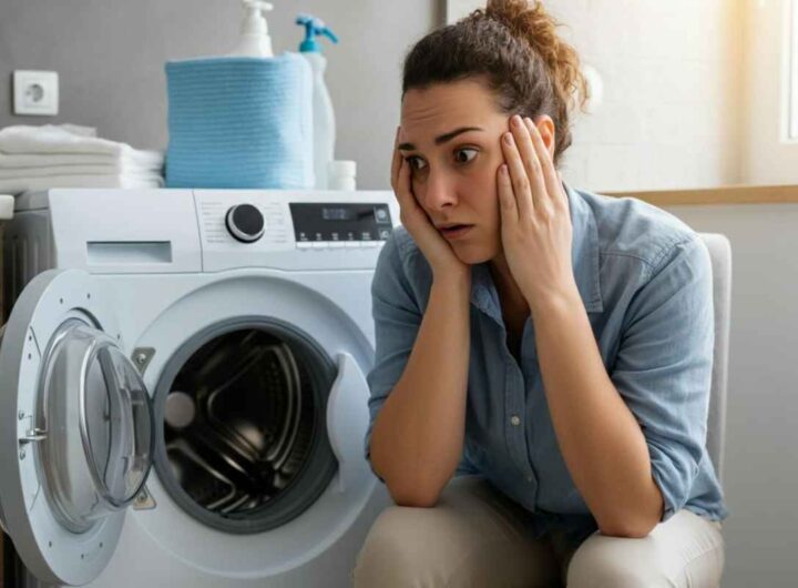 se si rompre un elettrodomestico paga l'inquilino?