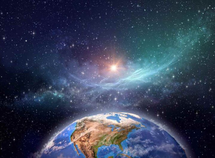 Altro che dinosauri, sono questi gli animali più strani vissuti sulla Terra: i dettagli