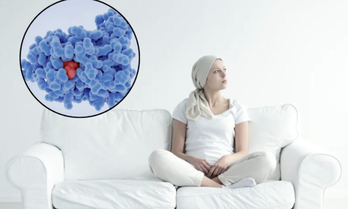 Alla luce delle ultime ricerche e delle raccomandazioni degli enti come l’AIRC (Associazione Italiana per la Ricerca sul Cancro)